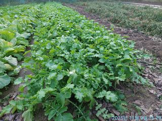 황대헌님의 자유주제 · 자유게시판 작성글 사진