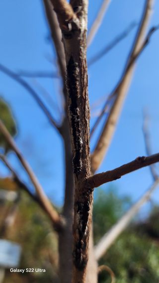 장영수님의 자유주제 · 자유게시판 작성글 사진