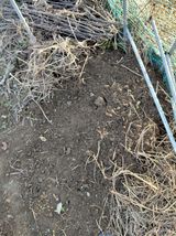 팜모닝 자유주제·자유게시판 게시글 이미지