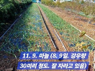 박성민님의 자유주제 · 자유게시판 작성글 사진