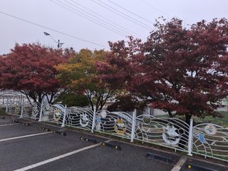 MSG0074님의 자유주제 · 자유게시판 작성글 사진