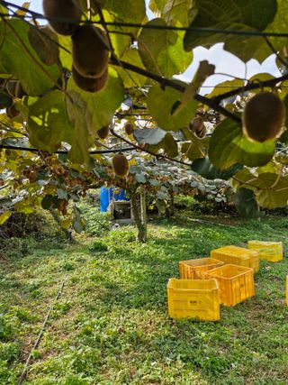 최재흥님의 작성글 사진