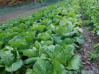 황대헌님의 자유주제 · 자유게시판 작성글 사진