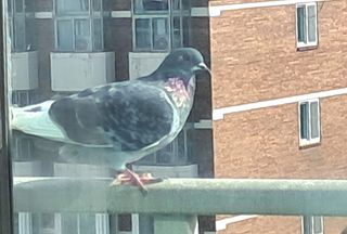 MSG0074님의 자유주제 · 자유게시판 작성글 사진