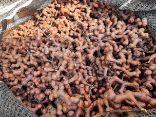 권병☆님의 자유주제 · 자유게시판 작성글 사진