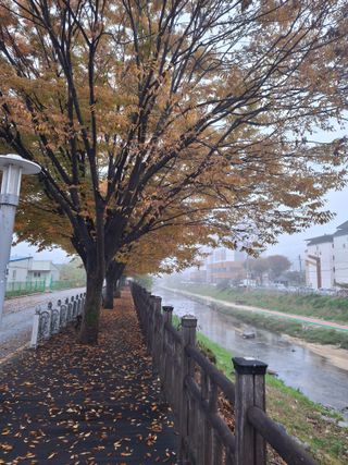 MSG0074님의 자유주제 · 자유게시판 작성글 사진