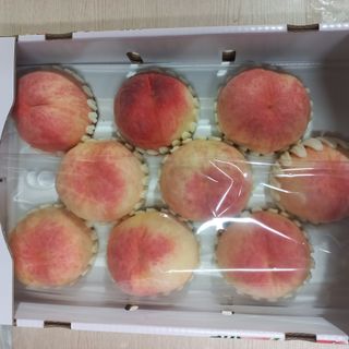 황덕순 님의 작성글 사진