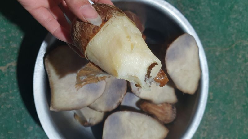 장계령님의 장터 판매 상품 [토란비료 없이 키운 자연 토란 (논산산) 1KG] 첨부 사진