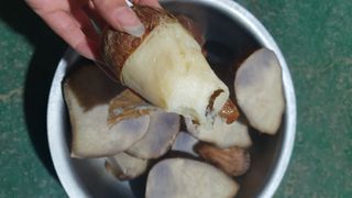 장계령님의 작성글 사진