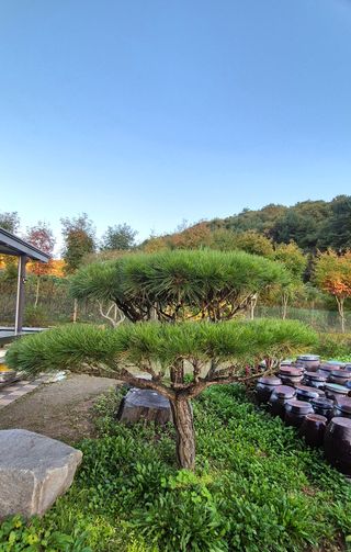 김현기님의 작성글 사진