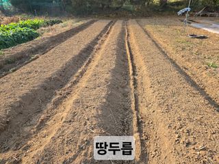 들꽃농장님의 자유주제 · 자유게시판 작성글 사진