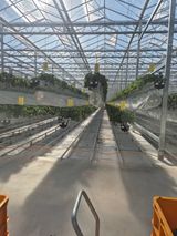 팜모닝 자유주제·자유게시판 게시글 이미지