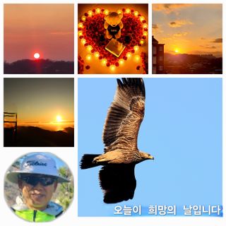 장관덕님의 자유주제 · 자유게시판 작성글 사진