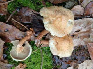 사노라면님의 자유주제 · 자유게시판 작성글 사진