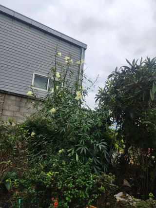 미소김님의 자유주제 · 자유게시판 작성글 사진