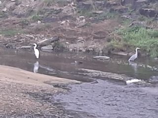 MSG0074님의 자유주제 · 자유게시판 작성글 사진