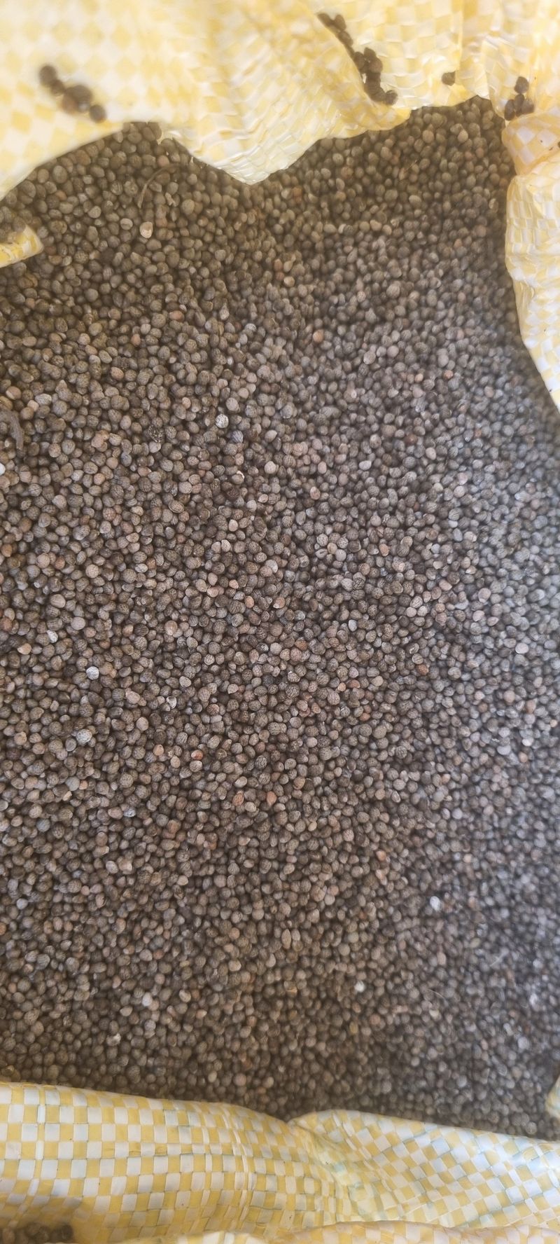 박사원농장님의 장터 판매 상품 [들깨  12kg] 첨부 사진