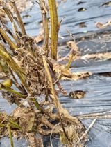 팜모닝 자유주제·사진전 게시글 이미지