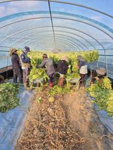 팜모닝 자유주제·자유게시판 게시글 이미지