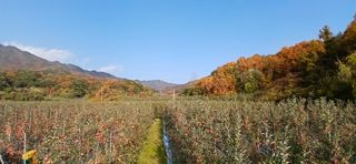 강동민님의 자유주제 · 자유게시판 작성글 사진