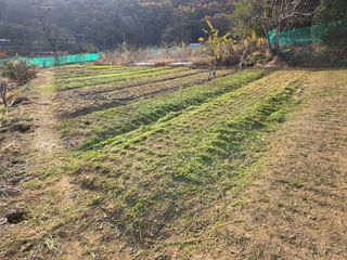 들꽃농장님의 자유주제 · 자유게시판 작성글 사진