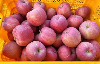 하늘아래사과나무님의 작성글 사진