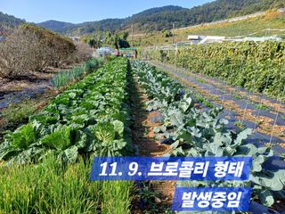 박성민님의 자유주제 · 자유게시판 작성글 사진