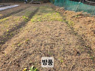 들꽃농장님의 자유주제 · 자유게시판 작성글 사진