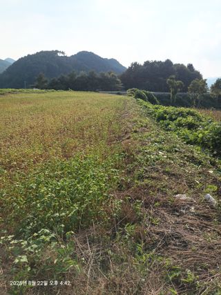 엄재식님의 자유주제 · 자유게시판 작성글 사진