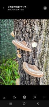 팜모닝 자유주제·자유게시판 게시글 이미지