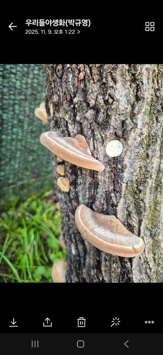 우리꽃님의 자유주제 · 자유게시판 작성글 사진