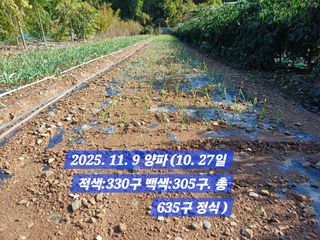 박성민님의 자유주제 · 자유게시판 작성글 사진