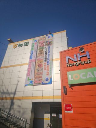 믿고사는농원-송미경님의 자유주제 · 자유게시판 작성글 사진