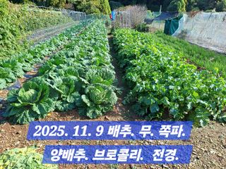 박성민님의 자유주제 · 자유게시판 작성글 사진