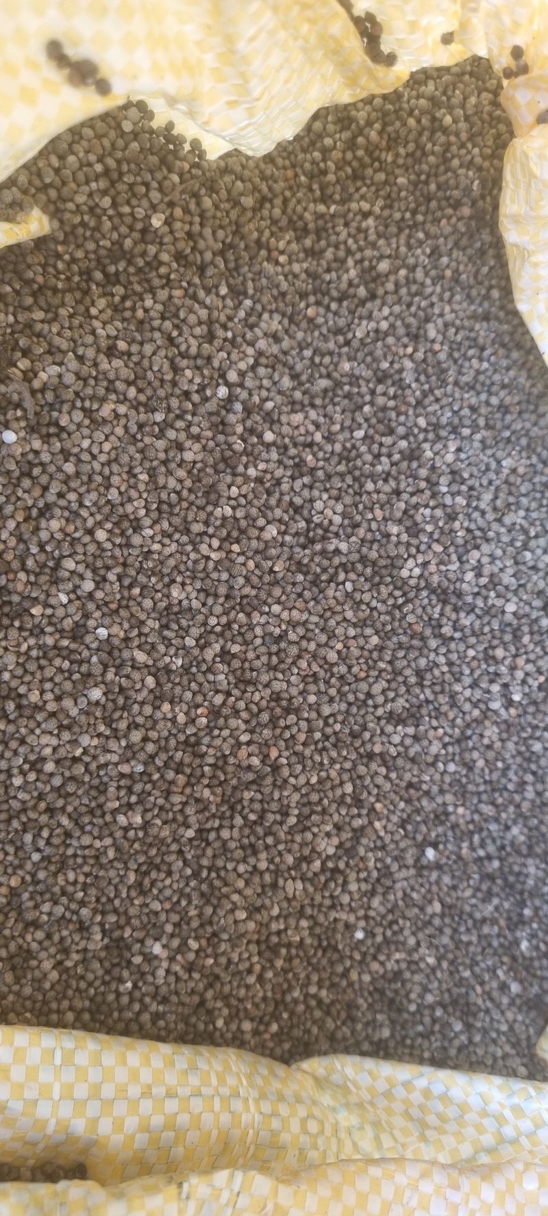 장터 상품 [들깨  12kg] 썸네일