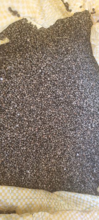 박사원농장님의 작성글 사진