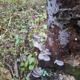 팜모닝 자유주제·자유게시판 게시글 이미지