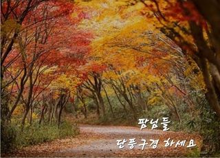 인생은 소풍처럼님의 자유주제 · 자유게시판 작성글 사진