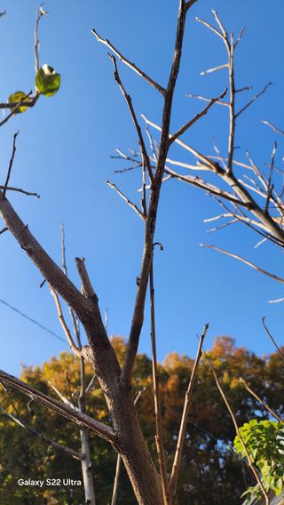 장영수님의 자유주제 · 자유게시판 작성글 사진