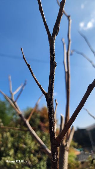장영수님의 자유주제 · 자유게시판 작성글 사진
