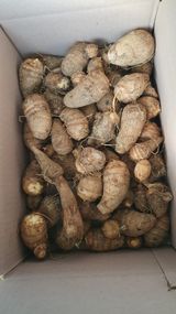 팜모닝 · 게시글 이미지