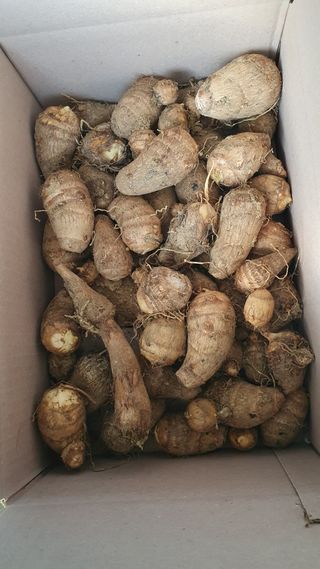 장계령님의 작성글 사진