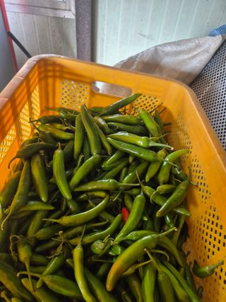 이정희님의 작성글 사진