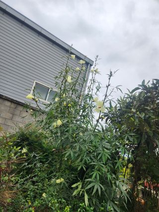 미소김님의 자유주제 · 자유게시판 작성글 사진