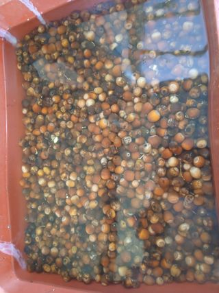 인생은 소풍처럼님의 자유주제 · 자유게시판 작성글 사진