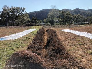엄재식님의 자유주제 · 자유게시판 작성글 사진