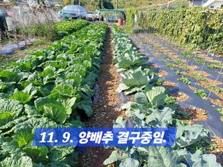 박성민님의 자유주제 · 자유게시판 작성글 사진