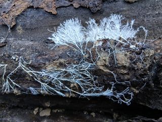 사노라면님의 자유주제 · 자유게시판 작성글 사진