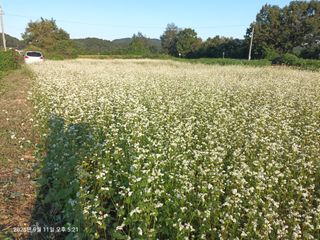 엄재식님의 자유주제 · 자유게시판 작성글 사진