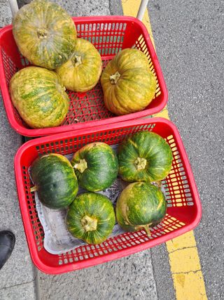 김기한님의 자유주제 · 자유게시판 작성글 사진